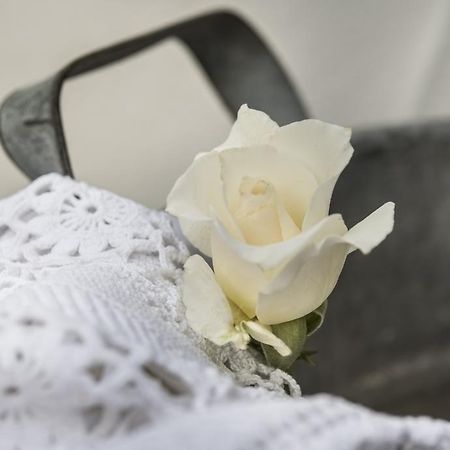 Il Giardino Di Ortensia B&B Bientina Eksteriør billede